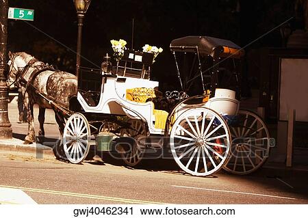 Close-up of a horse drawn carriage on the road View Large Photo Image Stock Image - Close-up of a horse drawn carriage on the road. Fotosearch