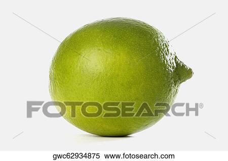 Close-up of a lemon View Large Photo Image Stock Photography - Close-up of a lemon. Fotosearch