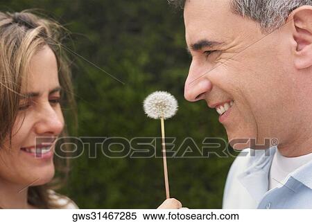Stock Photography - Close-up of a mid adult couple with a dandelion in between them. Fotosearch