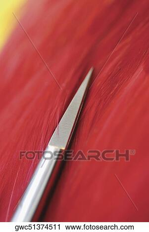 Close-up of a pair of scissors View Large Photo Image Stock Image - Close-up of a pair of scissors. Fotosearch