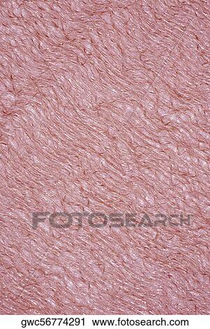 Close-up of a pattern on fabric View Large Photo Image Stock Image - Close-up of a pattern on fabric. Fotosearch