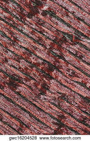 Stock Photo - Close-up of a pattern on fabric. Fotosearch