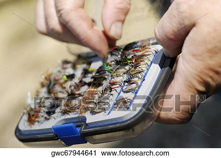 Close-up of a person's hand holding a fly box View Large Photo Image Stock Image - Close-up of a person's hand holding a fly box. Fotosearch