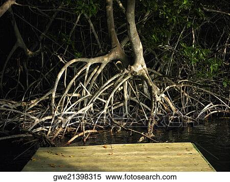 Stock Photography - Close-up of a pier. Fotosearch