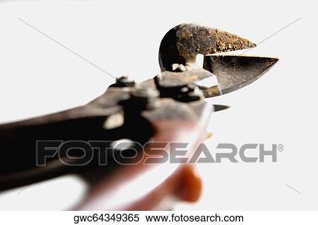 Stock Photography - Close-up of a pruning shears. Fotosearch