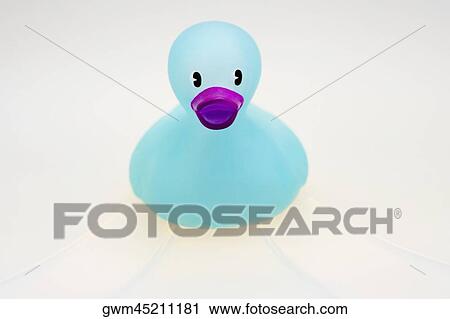 Close-up of a rubber duck View Large Photo Image Stock Image - Close-up of a rubber duck. Fotosearch