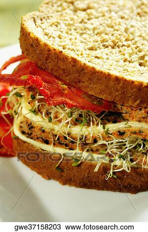 Close-up of a sandwich View Large Photo Image Stock Image - Close-up of a sandwich. Fotosearch