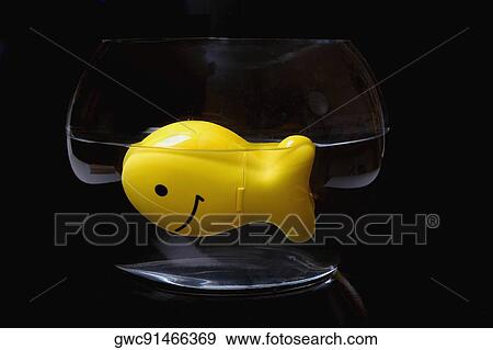 Close-up of a toy fish floating on water View Large Photo Image Stock Photo - Close-up of a toy fish floating on water. Fotosearch
