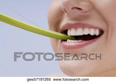 Close-up of a young woman biting a celery stick View Large Photo Image Stock Photography - Close-up of a young woman biting a celery stick. Fotosearch
