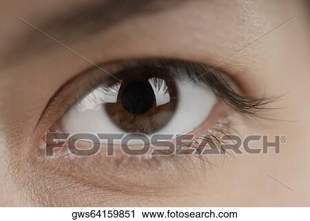 Close-up of a young woman's eye View Large Photo Image Stock Image - Close-up of a young woman's eye. Fotosearch