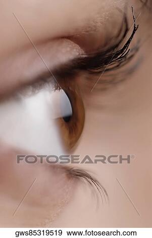 Close-up of a young woman's eye View Large Photo Image Stock Photo - Close-up of a young woman's eye. Fotosearch