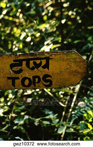 Close-up of an information board, Tiger Tops, Chitwan National Park, Nepal View Large Photo Image Stock Image - Close-up of an information board, Tiger Tops, Chitwan National Park, Nepal. Fotosearch