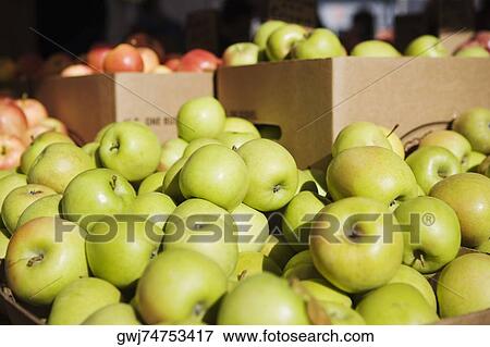 Close-up of apples View Large Photo Image Stock Photo - Close-up of apples. Fotosearch