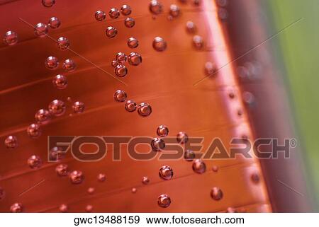 Close-up of bubbles in a soda bottle View Large Photo Image Stock Photo - Close-up of bubbles in a soda bottle. Fotosearch