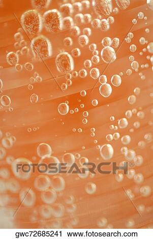 Close-up of bubbles in liquid View Large Photo Image Stock Image - Close-up of bubbles in liquid. Fotosearch