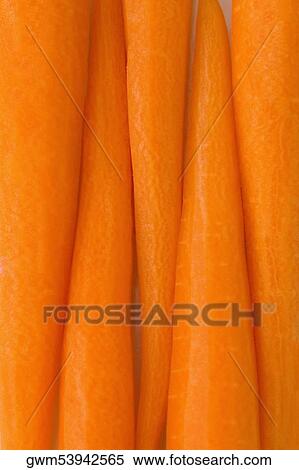 Close-up of carrots View Large Photo Image Stock Photography - Close-up of carrots. Fotosearch