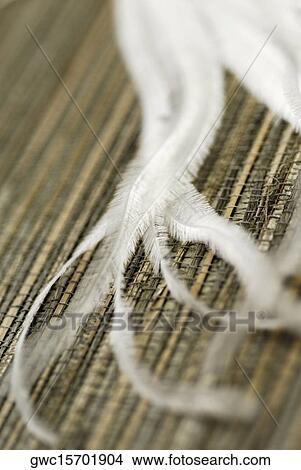 Close-up of dry ostrich ferns View Large Photo Image Picture - Close-up of dry ostrich ferns. Fotosearch
