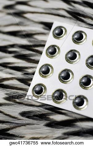 Close-up of glass eyes and a feather View Large Photo Image Stock Photography - Close-up of glass eyes and a feather. Fotosearch