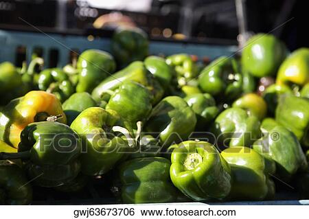 Close-up of green bell peppers View Large Photo Image Stock Photograph - Close-up of green bell peppers. Fotosearch