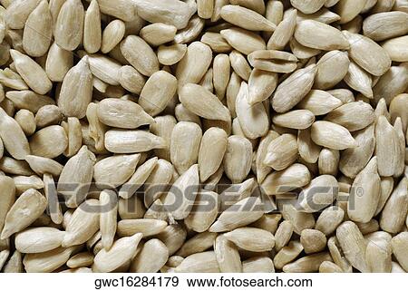 Close-up of peanuts View Large Photo Image Stock Photo - Close-up of peanuts. Fotosearch
