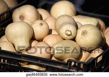 Close-up of pumpkins in a crate View Large Photo Image Stock Photography - Close-up of pumpkins in a crate. Fotosearch