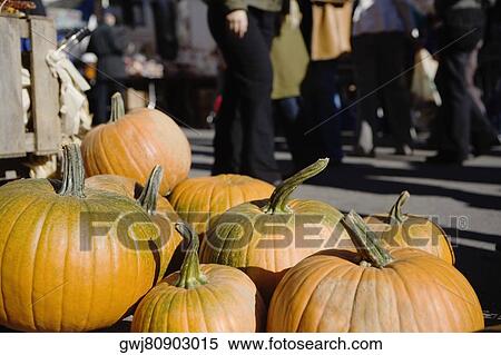 Close-up of pumpkins View Large Photo Image Stock Photography - Close-up of pumpkins. Fotosearch
