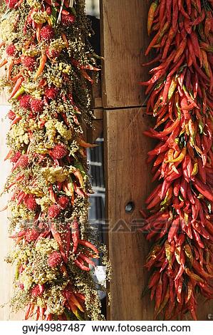 Close-up of red chili peppers and strawberries hanging on a pole View Large Photo Image Stock Photo - Close-up of red chili peppers and strawberries hanging on a pole. Fotosearch