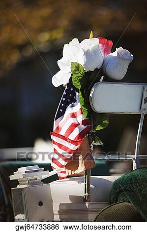 Close-up of rose flowers with an American flag on a horse drawn carriage View Large Photo Image Stock Photograph - Close-up of rose flowers with an American flag on a horse drawn carriage. Fotosearch