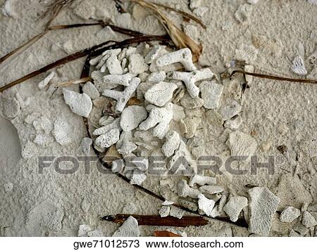 Stock Image - Close-up of stones in the sand. Fotosearch