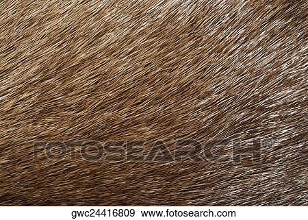 Close-up of straw View Large Photo Image Stock Photo - Close-up of straw. Fotosearch