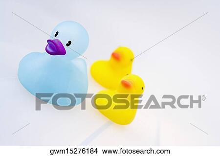 Picture - Close-up of three rubber ducks. Fotosearch