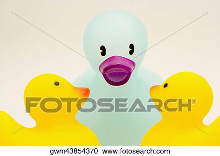 Close-up of three rubber ducks View Large Photo Image Stock Image - Close-up of three rubber ducks. Fotosearch