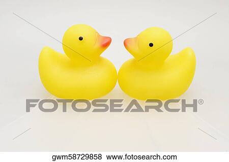 Stock Photo - Close-up of two rubber ducks face to face. Fotosearch