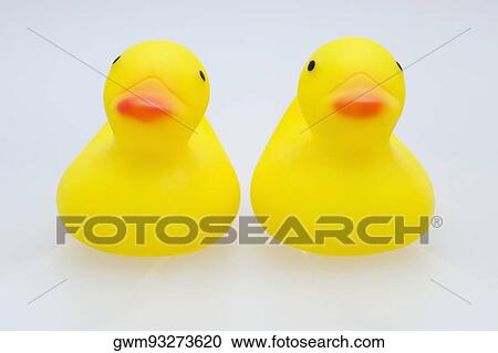 Close-up of two rubber ducks View Large Photo Image Stock Image - Close-up of two rubber ducks. Fotosearch