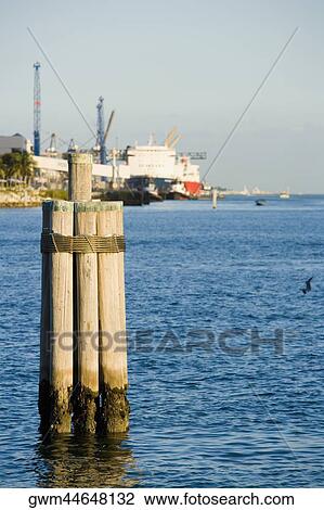 Close-up of wooden posts in water View Large Photo Image Stock Image - Close-up of wooden posts in water. Fotosearch