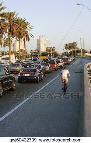 Cyclist on the road, Miami, Florida, USA View Large Photo Image Stock Photo - Cyclist on the road, Miami, Florida, USA. Fotosearch