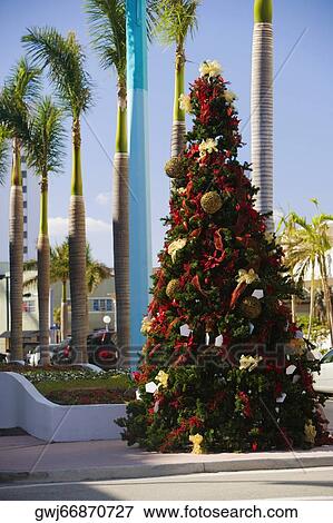 Decorated tree on the street View Large Photo Image Stock Photo - Decorated tree on the street. Fotosearch