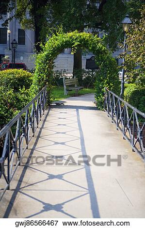 Entrance of a footbridge covered with ivy, Savannah, Georgia, USA View Large Photo Image Stock Photo - Entrance of a footbridge covered with ivy, Savannah, Georgia, USA. Fotosearch