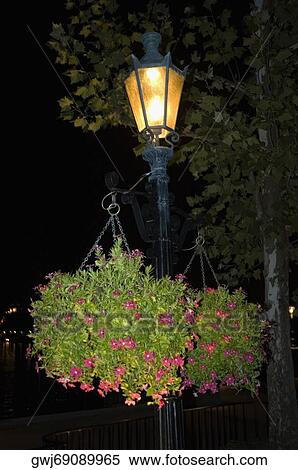 Flower pots hanging on a lamppost View Large Photo Image Stock Photography - Flower pots hanging on a lamppost. Fotosearch
