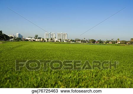 Garden in a city, Miami, Florida, USA View Large Photo Image Stock Image - Garden in a city, Miami, Florida, USA. Fotosearch