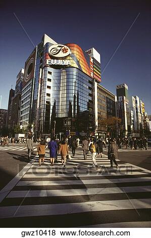 Group of people walking on the zebra crossing, Ginza, Tokyo Prefecture, Japan View Large Photo Image Stock Photo - Group of people walking on the zebra crossing, Ginza, Tokyo Prefecture, Japan. Fotosearch