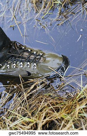 High angle view of a person's foot wearing wading boots View Large Photo Image Stock Photography - High angle view of a person's foot wearing wading boots. Fotosearch