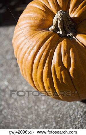 Stock Photo - High angle view of a pumpkin. Fotosearch