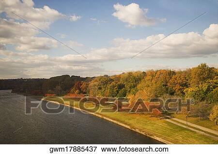 Stock Photo - High angle view of a river flowing in a forest. Fotosearch