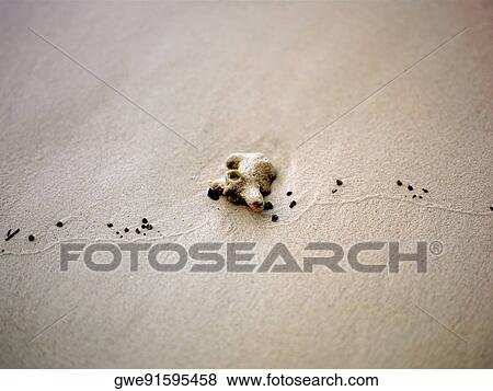 Stock Photo - High angle view of a stone in the sand. Fotosearch