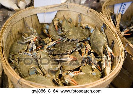 Picture - High angle view of crabs in a basket. Fotosearch