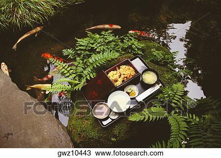 High angle view of food, Asakusa, Tokyo Prefecture, Japan View Large Photo Image Stock Image - High angle view of food, Asakusa, Tokyo Prefecture, Japan. Fotosearch