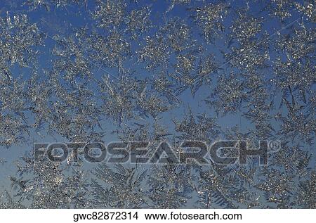 High angle view of leaves floating on water View Large Photo Image Picture - High angle view of leaves floating on water. Fotosearch