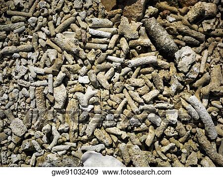 High angle view of stones View Large Photo Image Stock Photo - High angle view of stones. Fotosearch