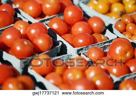 High angle view of tomatoes in containers View Large Photo Image Stock Image - High angle view of tomatoes in containers. Fotosearch